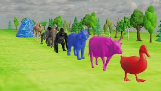 Long Slide Game With Elephant Gorilla Buffalo Hippopotamus Tiger  3d Animal Game  Wild Animals [upl. by Mavilia682]