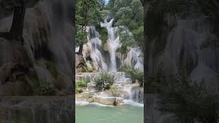 Kuang si waterfall Luang prabang Laos 🇱🇦 2024 [upl. by Akener]