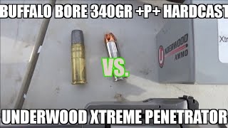 44 mag For Alaska Xtreme Penetrators Vs Buffalo Bore 340gr p [upl. by Essam343]