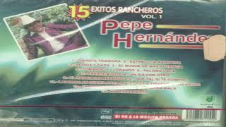 Voy A Tirarme A Los Vicios  Pepe Hernandez [upl. by Linn379]