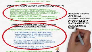 1 6 Debates sobre la diversidad cultural en Antropología Relativismo cultural y etnocentrismo [upl. by Flowers]