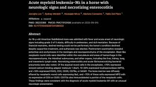 13 Acute myeloid leukemiaM1 in a horse with neurologic signs and necrotizing enterocolitis [upl. by Atilehs]