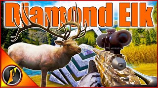 Giant Diamond Rocky Mountain Elk on the Black Bear Grind [upl. by Nalhsa146]