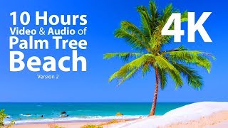 4K UHD 10 hours  Tropical Beach amp Gentle Lapping Waves  mindfulness relaxing meditation nature [upl. by Lenni]