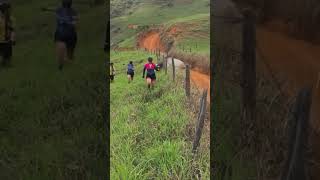 O boi colocou pra correr 😂😂😂 vamosrir shortvideos shortsviral vemrir fy fazenda shorts [upl. by Nairbo]