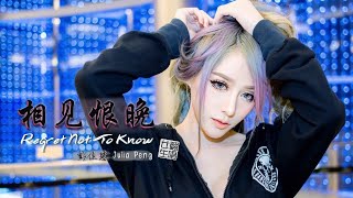 彭佳慧 Julia Peng  相见恨晚 Regret Not To Know  王小虎 翻唱 EnglishPinyinChinese Lyrics Sub 歌詞字幕『傷感女聲版』 [upl. by Attikin]