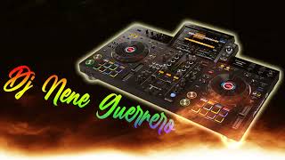 MIX 2024 DJ NENE GUERRERO [upl. by Eeluj]