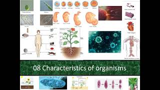 08 Characteristics of organisms  English medium Science  grade 10  SE Master kids [upl. by Treva]