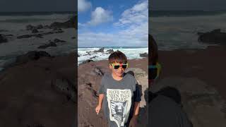 Hookipa beach Maui Christmas December 21  2023  January 2  2024 [upl. by Morry]