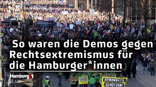 Zwei Demos gegen Rechtsextremismus So war es für die Hamburgerinnen und Hamburger [upl. by Nilyaj]