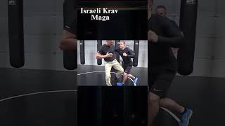 Israeli Krav Maga targets the bodys most vulnerable and painful points [upl. by Afira310]