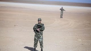 Mali Algeria step up war against terror [upl. by Eeldarb475]