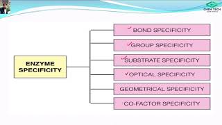 2 Specificity of enzymes Types and examples of specificity [upl. by Latricia]