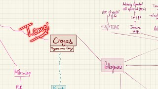 Chagas Disease Trypanosoma Cruzi  Bloodstream Infections  2nd Year MBBS  Microbiology [upl. by Assena]