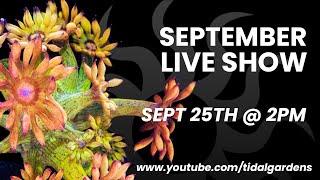 Tidal Gardens September 2021 Live Show [upl. by Gothar]