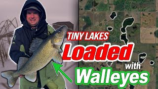 Small Secret Lakes Loaded with Walleye  Guide for Ice Fishing North Dakota Pothole Lakes [upl. by Ysnap]