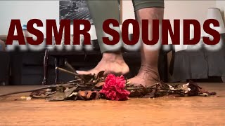 ASMR SOUNDS [upl. by Dnarb]