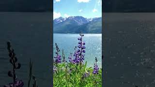 Teton National Park 3 highlight [upl. by Garvey187]