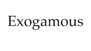 How to Pronounce Exogamous [upl. by Aruasor]