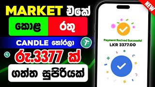 How to Earn Money Online Sinhala 2024  New Trading Platform  Live Withdraw usdt woowmoneytv [upl. by Huckaby]