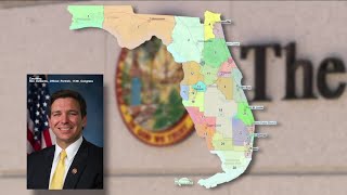 Looking at Floridas new congressional map ahead of the midterm election [upl. by Nawor408]