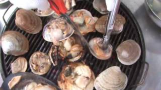 KOREAN CUISINE  grilled clams and mussels [upl. by Nimzzaj]