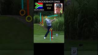 HOW ERNIE ELS FACE ON DRIVER SWING WORLD GOLF PROs SWING COLLECTION＃shorts [upl. by Lister649]