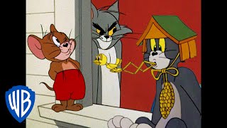 Tom et Jerry en Français 🇫🇷  Les rois de la malice  WBKids [upl. by Nabe]