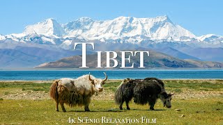 Tibet 4K  Scenic Relaxation Film With Calming Music [upl. by Ainedrag]