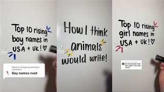 Whiteboard Writing  1 Hour ASMR TikTok Compilation [upl. by Hutson925]