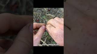 How To Make STRONG Cattail Cordage survival bushcraft survivaltips camping outdoors nature [upl. by Garwood]