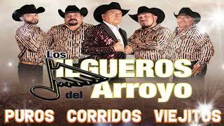 Los Jilgueros Del Arroyo 30 Exitos Originales  Puros Corridos Viejitos Mix [upl. by Ardnaeed]