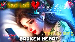 sad lofi broken heart feeling song  lofi mashup song  slowed and reverb [upl. by Aleekahs]