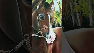 Comment dessiner uncheval Peinture murale art drawing artist [upl. by Rebhun]