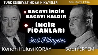 İki Ustadan İki hikaye  Türk Edebiyatından Sesli Kitaplar [upl. by Suirtemed214]