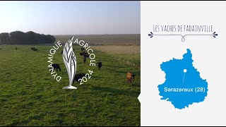 Les vaches de Favainville lauréat du Prix de la Dynamique Agricole 28 [upl. by Nairam]