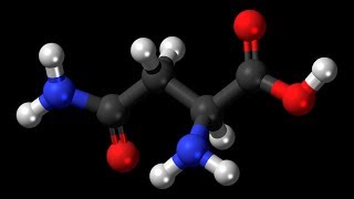 Asparagine  Asparagus Liver Function Cells Nerves Brain Diuretic Ammonia Proteins [upl. by Demakis589]