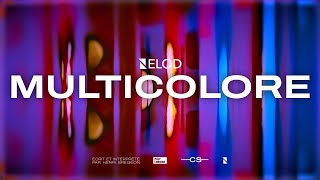 Nelod  Multicolore Lyrics Vidéo [upl. by Retha988]