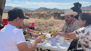 UN RICO DESAYUNO FAMILIAR EN El CERCO 🥞 🥚 🐄 🍍 [upl. by Hoeve]