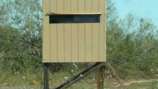 Grande Hunts 8 South Texas Deer Lease Work Feeding amp Scouting October 2010 [upl. by Enelyahs]