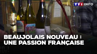 Beaujolais nouveau  une passion française｜TF1 INFO [upl. by Mark557]