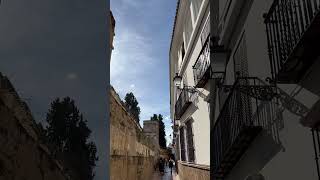 Exploring Sevilles Enchanting Streets A Quick Tour [upl. by Niknar]