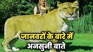 Unheard facts about animals  hindi facts video [upl. by Yatnoed]