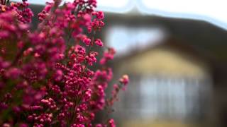 Nikon D5100 Video test [upl. by Damahom]