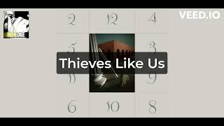 New Order  Thieves Like Us karaoke [upl. by Widera]