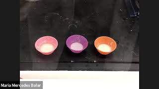 Michael Addition and Paraformaldehyde Polymerizaion of Diacrylate Polymers [upl. by Yalc185]