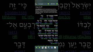 1 Kings 14 LLV319 for 2024 Read Me The Bible Garth [upl. by Eben]