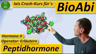 Hormone 2  Peptidhormone und ihre Wirkungsweise  Wirkung hydrophiler Hormone  Fit für´s BioAbi [upl. by Ethan149]