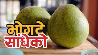 Bhogate Sadheko  Nepali Recipe  Yummy Nepali Kitchen [upl. by Madden]