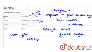 Epiphytic roots occur in [upl. by Nogem528]